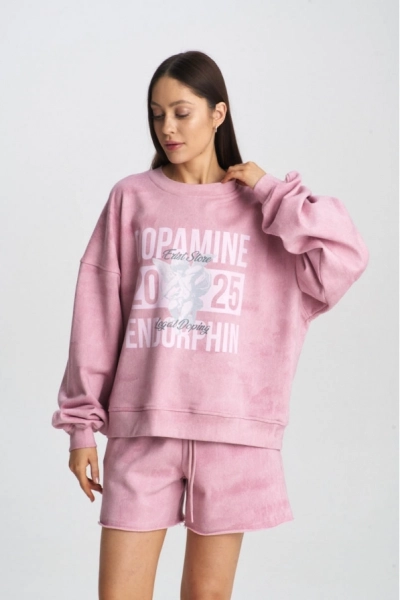 Свитшот DOPAMINE Washed Pink Erist store, цвет: розовый, НФ-00001581 купить онлайн