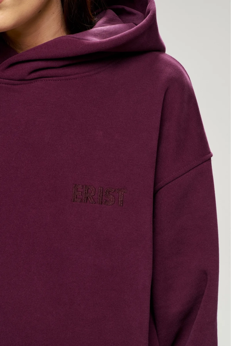 Худи с начесом Plum Erist store, цвет: сливовый, НФ-00003001 купить онлайн