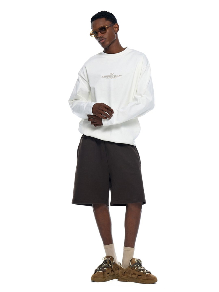 Шорты базовые FRHT, цвет: коричневый, SHRTBSMLC купить онлайн