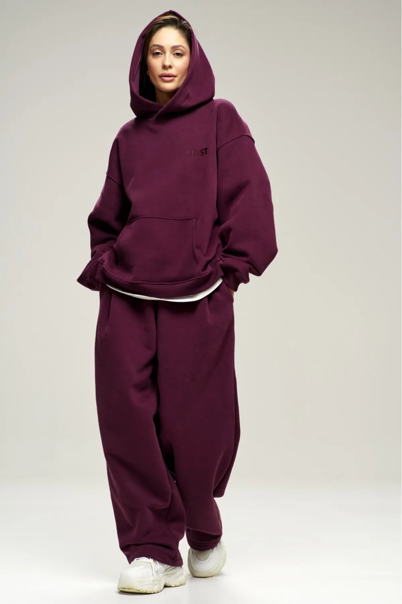 Худи с начесом Plum Erist store, цвет: сливовый, НФ-00003001 купить онлайн