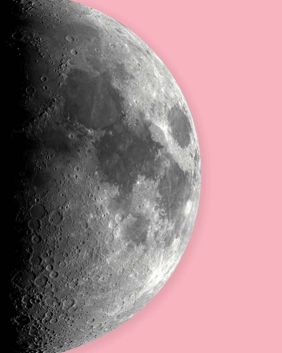 Футболка Moonlight TABOO, цвет: Черный, TSmoon купить онлайн