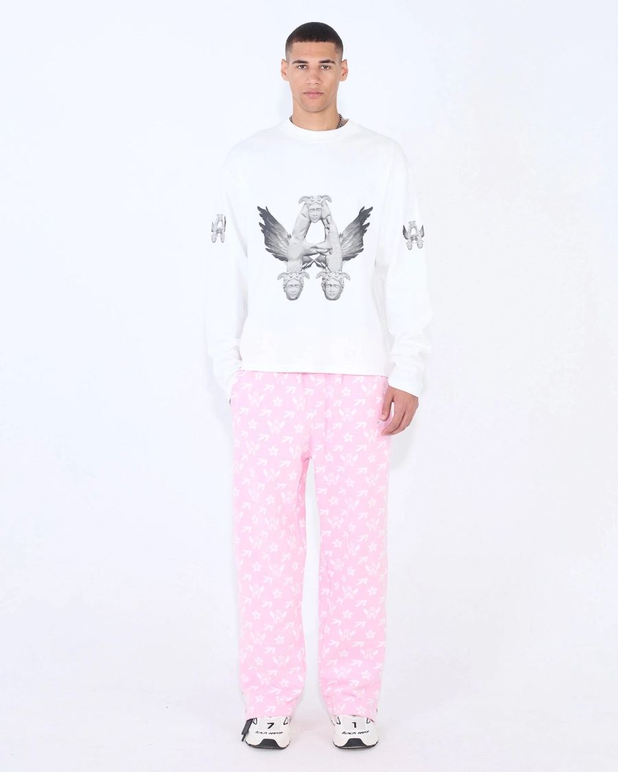 Джоггеры PATTERN FLYING A PINK ASIA ST 71, цвет: розовый, Ast71.jogg-pattern-A-pink купить онлайн