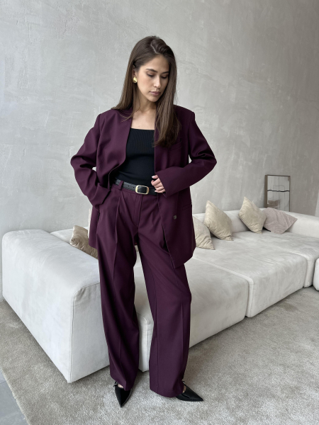 Брюки из вискозы на заниженной талии со складкой VELVET, цвет: Бордовый, 00-00004835 купить онлайн
