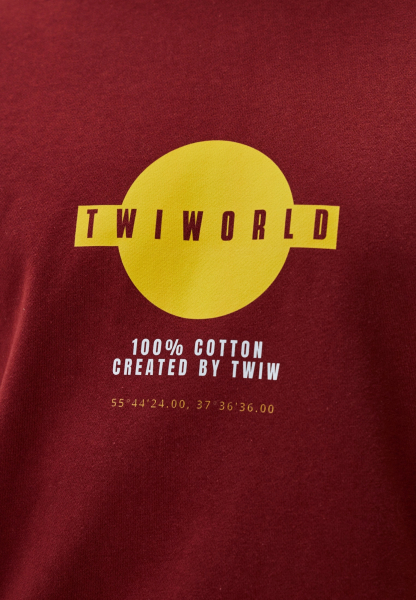 Толстовка Twiworld