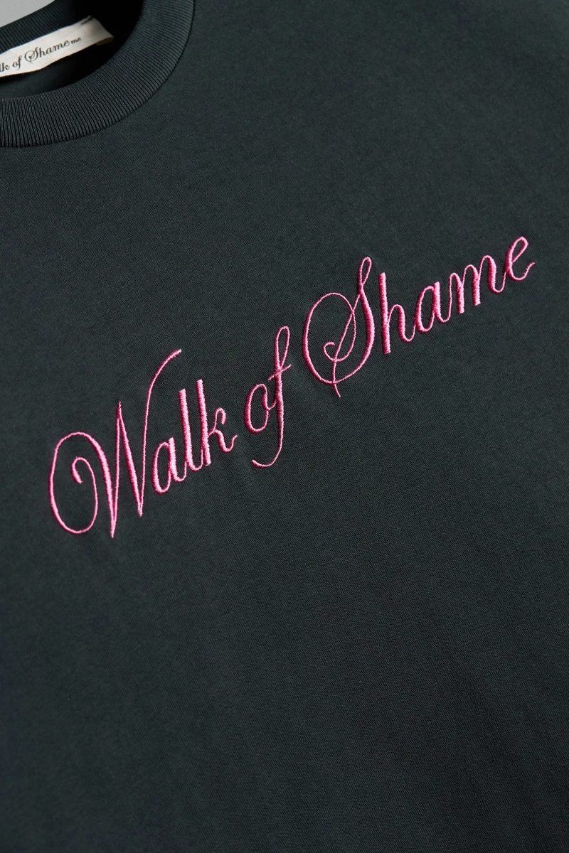 Плотная футболка с вышивкой WALK OF SHAME, цвет: Черный, TSH021 купить онлайн