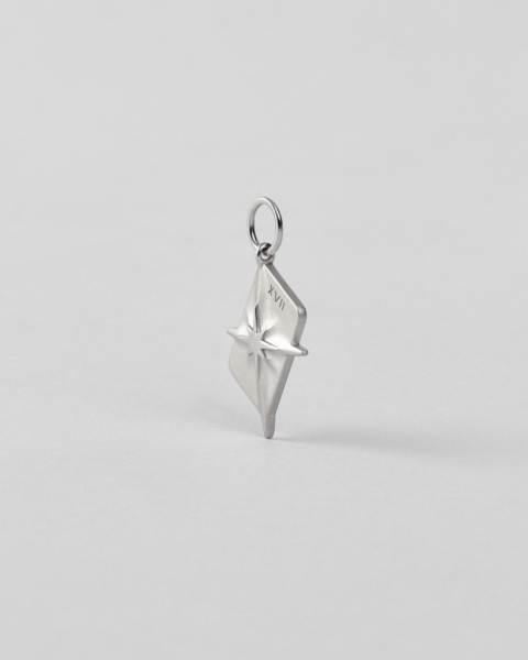 Подвеска-карта “Звезда” Darkrain, цвет: серебро, PL1005 купить онлайн