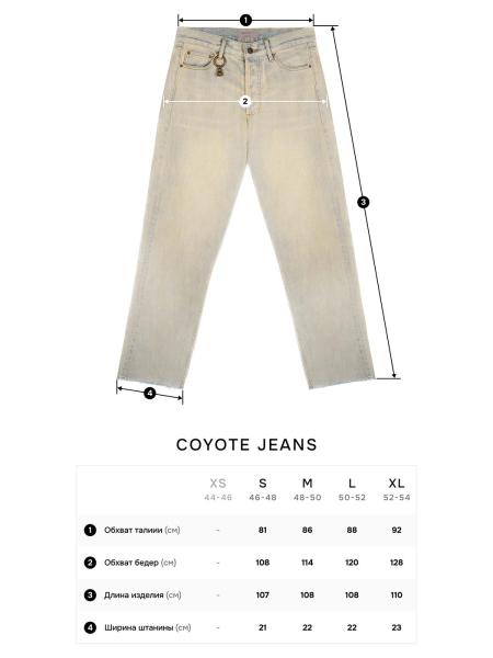 Джинсы Coyote NAIPACHE, цвет: синий,  купить онлайн