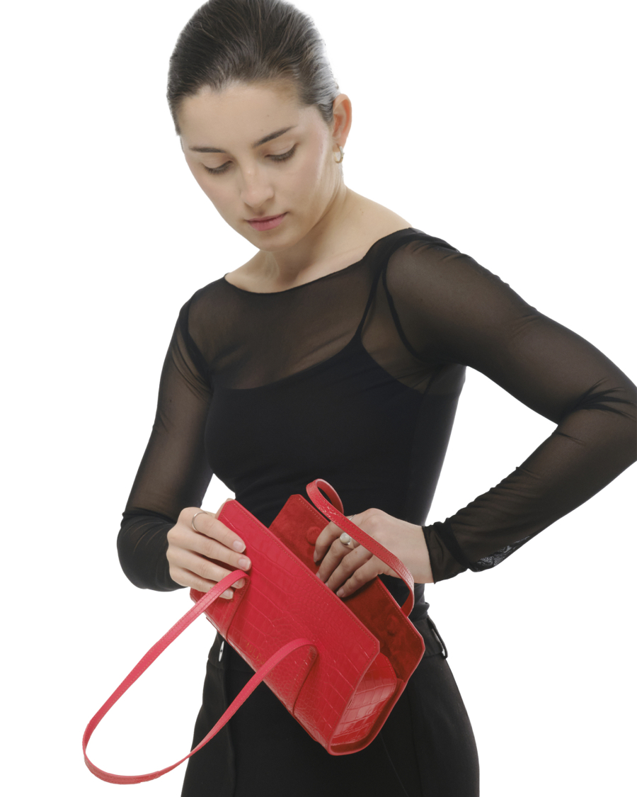 Сумка Asparagus S VOLCHEK, цвет: красный D7 купить онлайн