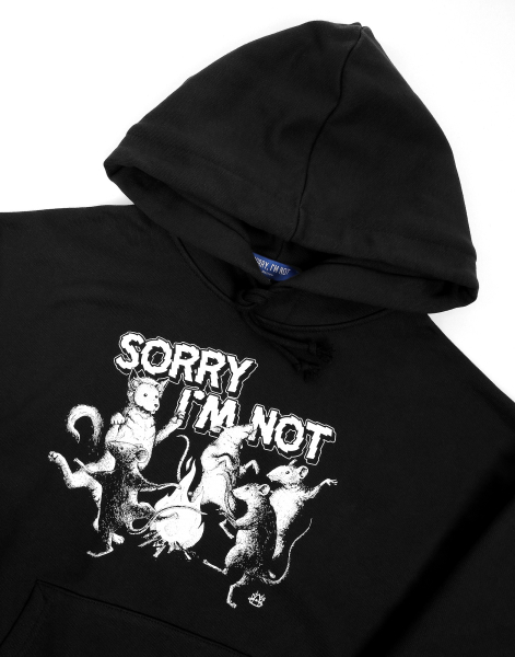 Худи RATS SORRY, I’M NOT, цвет: Черный, axJ7c1S6iOhA60Drr1aJE3 купить онлайн