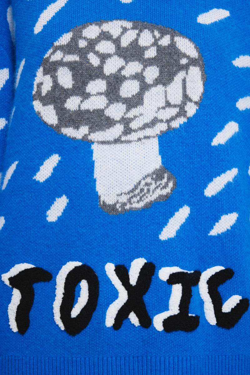 Джемпер с жаккардовым рисунком DREAMS BY ALENA AKHMADULLINA, цвет: синий, 225104140304281/704000 купить онлайн