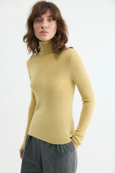 Водолазка вязаная с шерстью Daisyknit, цвет: Желтый,  купить онлайн