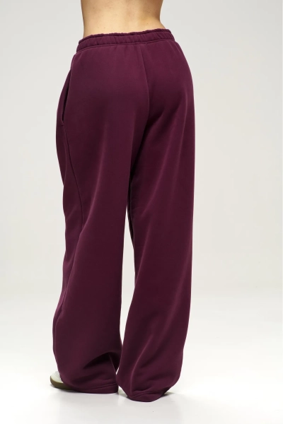 Брюки с начесом Plum Erist store, цвет: сливовый, НФ-00003020 купить онлайн