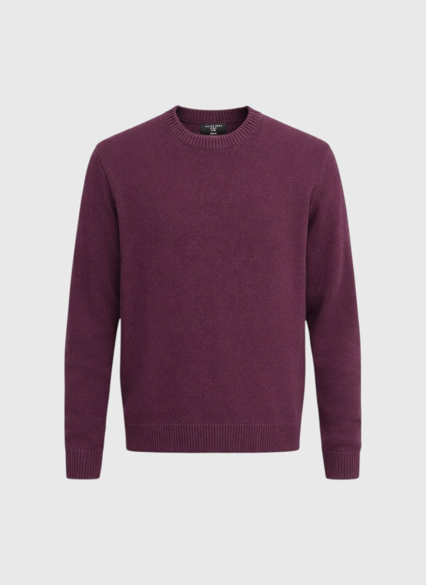 Свитер жаккардовый ALL WE NEED, цвет: сливовый, 2603M3517-016 купить онлайн