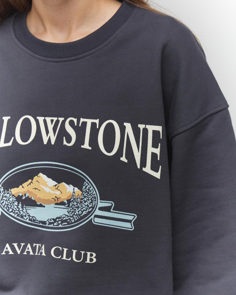 Свитшот Yellowstone Cotton Aváta Club, цвет: графит,  купить онлайн