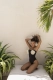 Купальник слитный с розами The Garden Of Paradise Send Me You Naked, цвет: Черный  |новая коллекция купить онлайн
