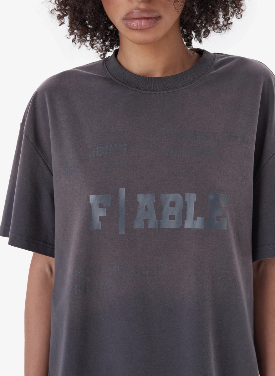 Футболка IMMORTAL FABLE, цвет: серый, TS-FBL-MRTL-RLXD-GR купить онлайн