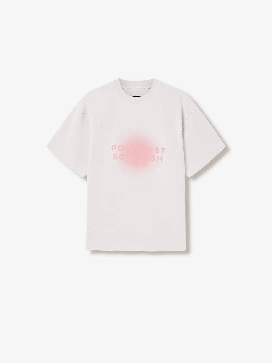 Футболка оверсайз с принтом POST POST SCRIPTUM, цвет: гипсовый, 1146.11.00.WTE1 купить онлайн