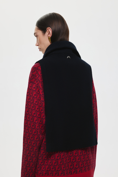 Манишка шерстяная на молнии DREAMS BY ALENA AKHMADULLINA, цвет: Черный 225106030304310/103000 купить онлайн