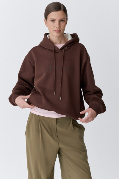 Худи утепленный essentials Ricoco, цвет: шоколадный, 7027/2 купить онлайн