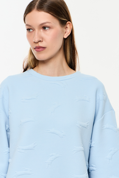 Толстовка DREAMS BY ALENA AKHMADULLINA, цвет: голубой, 225103160404144/711000 купить онлайн