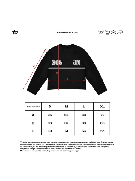 Лонгслив «Сезон славы Беларусь» СЕЗОН СЛАВЫ, цвет: Черный, 0602SS240602 купить онлайн