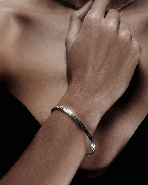 Биколорная цепь-браслет плетения снейк Vari Darkrain, цвет: серебро, DS1007 купить онлайн