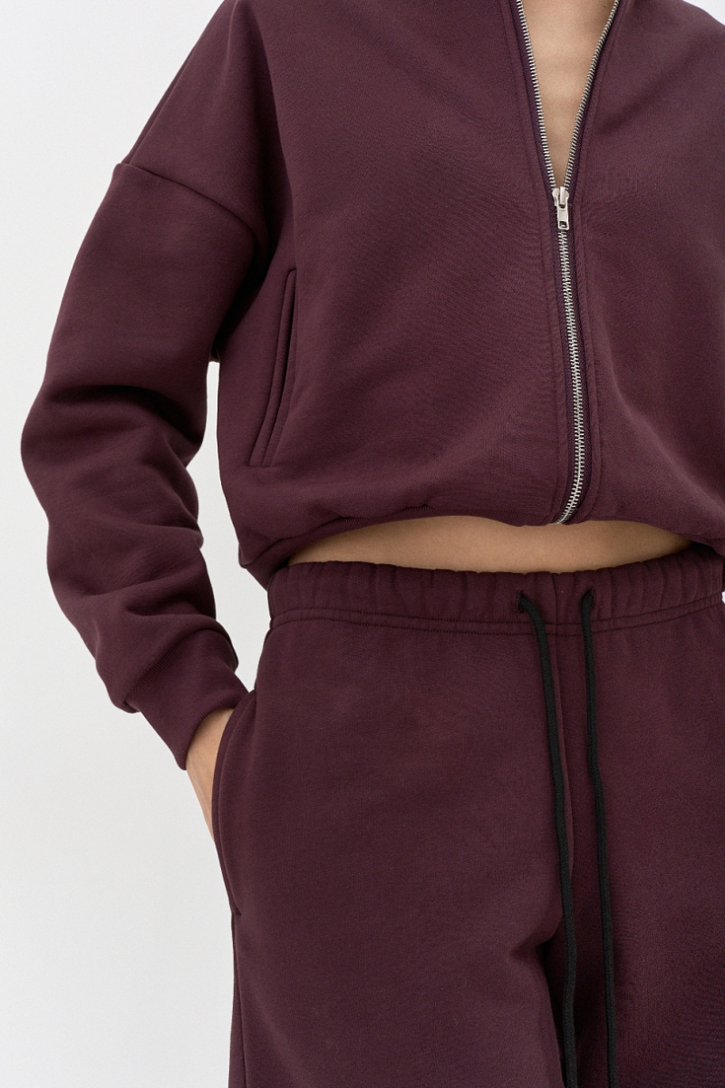 Толстовка на молнии утепленная Ricoco, цвет: сливовый, 6097/3 купить онлайн