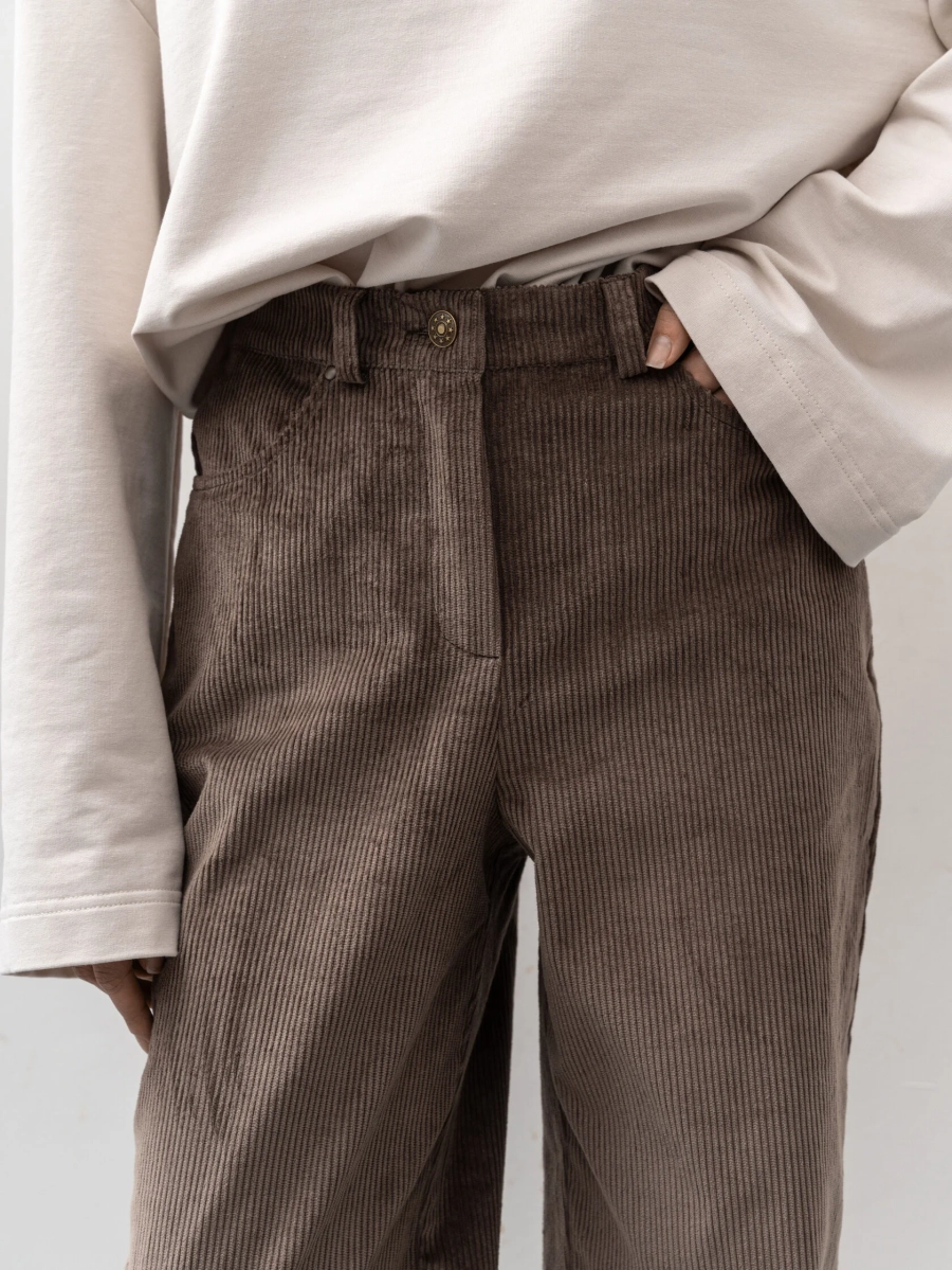 Брюки Academic TRES, цвет: коричневый, НФ-00002411 купить онлайн