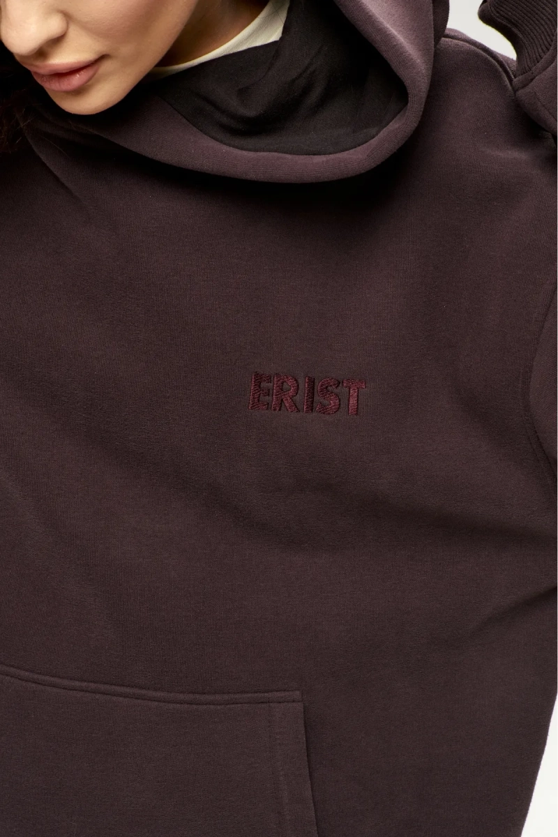 Худи с начесом Brown Erist store, цвет: коричневый, НФ-00003015 купить онлайн