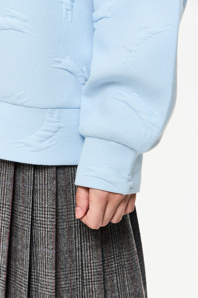 Толстовка DREAMS BY ALENA AKHMADULLINA, цвет: голубой, 225103160404144/711000 купить онлайн