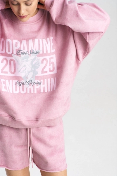 Свитшот DOPAMINE Washed Pink Erist store, цвет: розовый, НФ-00001581 купить онлайн