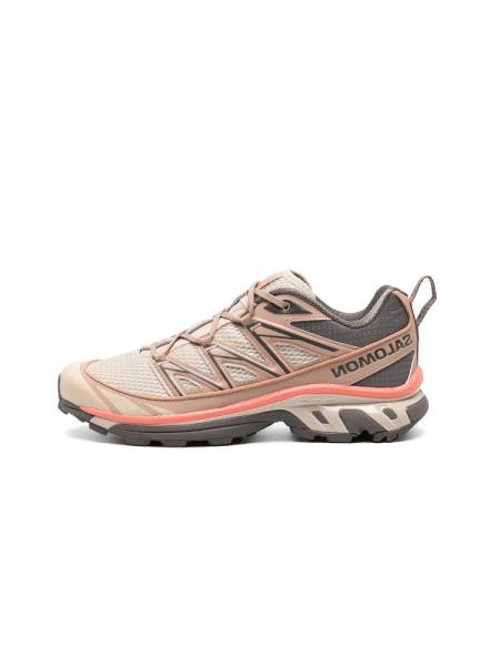 Кроссовки мужские Salomon XT-6 Expanse Seasonal "Natural Cement"