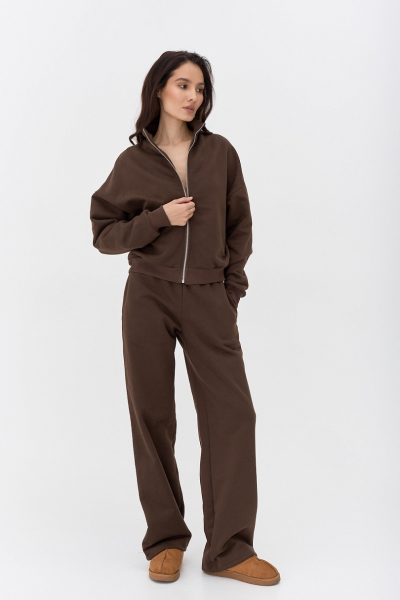 Толстовка на молнии утепленная Ricoco, цвет: шоколадный, 6097/1 купить онлайн