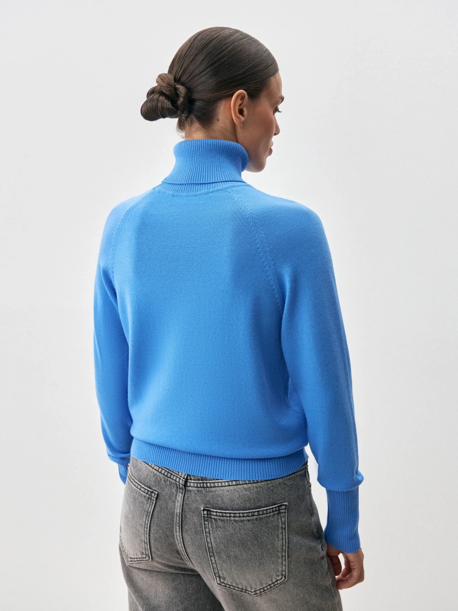 Водолазка FORTE ANNA PEKUN, цвет: голубой, 42.1254.604 купить онлайн