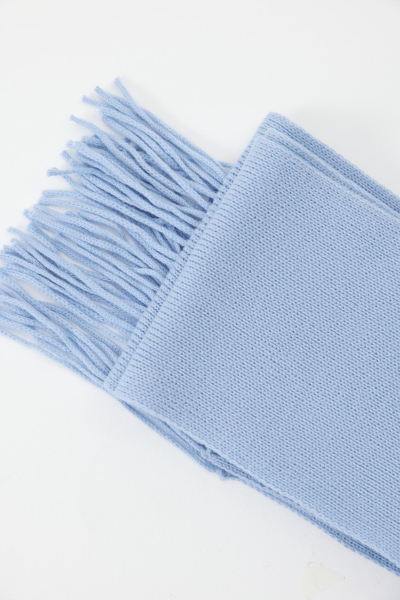 Шарф из шерсти мериноса с бахромой Charmstore, цвет: голубой 609-45198-668 купить онлайн