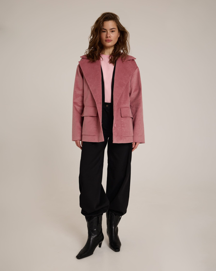 Жакет из вельвета Dusty Rose Anmuse, цвет: розовый, JC25S140-RS купить онлайн