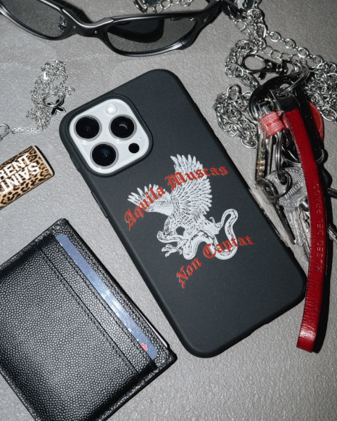 Чехол для телефона CASE | AQUILA MASCAS (iPhone 13) Lerouch, цвет: Чёрный  купить онлайн