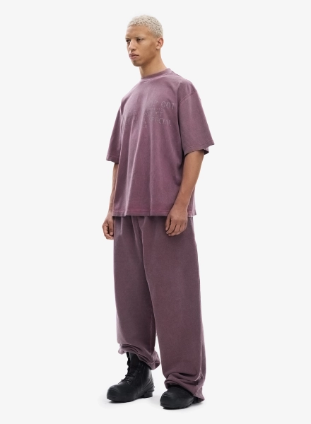 Футболка FW2425 FABLE, цвет: пурпурный, TS-FBL-FW2425-WHPRPL купить онлайн
