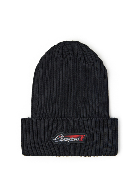 Шапка Champions