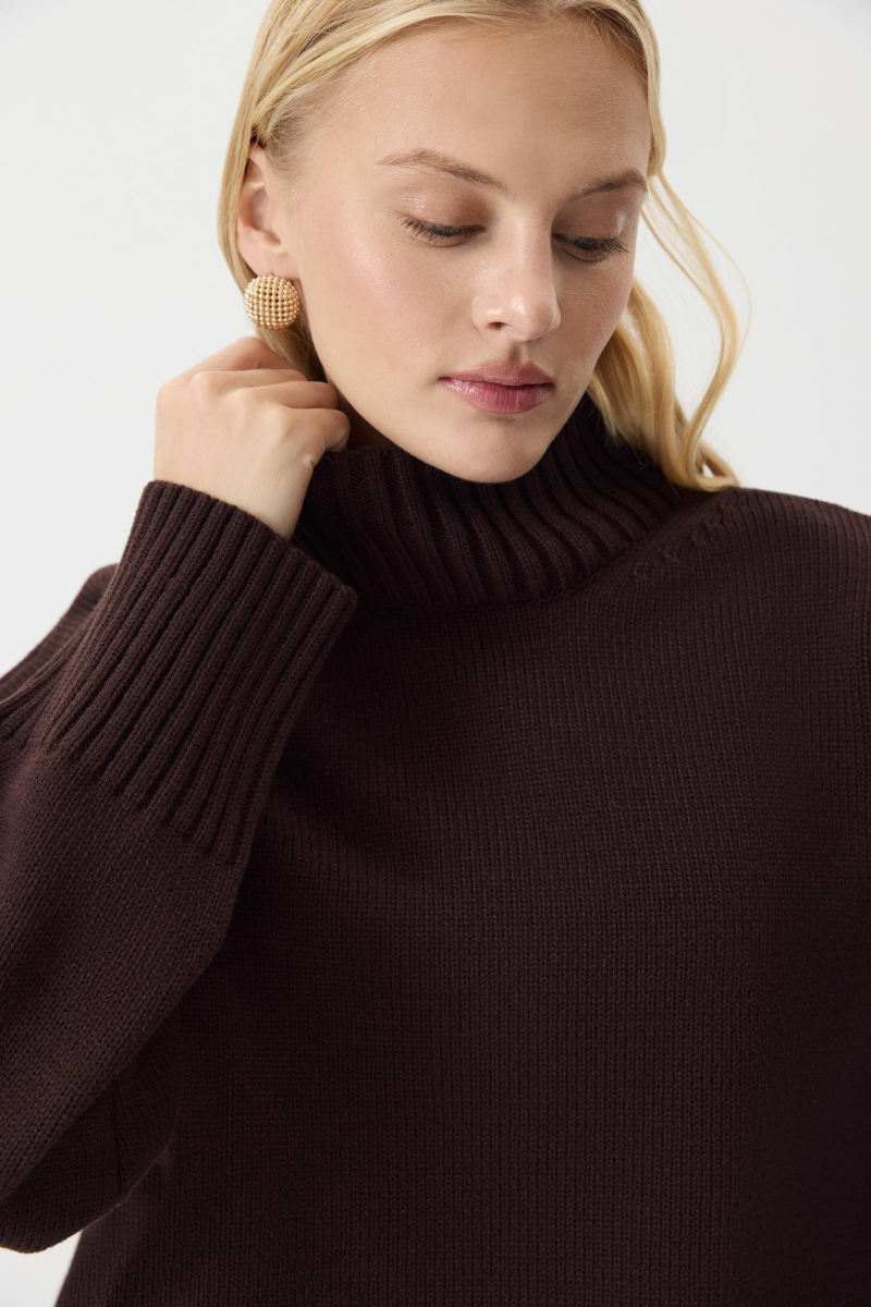 Свитер со стойкой из шерсти мериноса Charmstore, цвет: шоколадный, 314-44898-551 купить онлайн