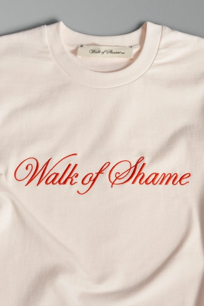 Плотная футболка с вышивкой WALK OF SHAME, цвет: белый, TSH021 купить онлайн