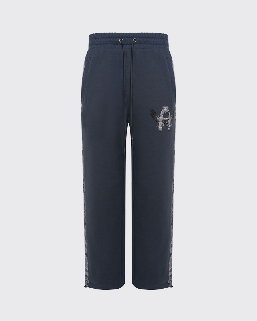 Джоггеры с лампасами ASIA ST 71, цвет: голубой, Ast71.jogg-flying-dustblue купить онлайн