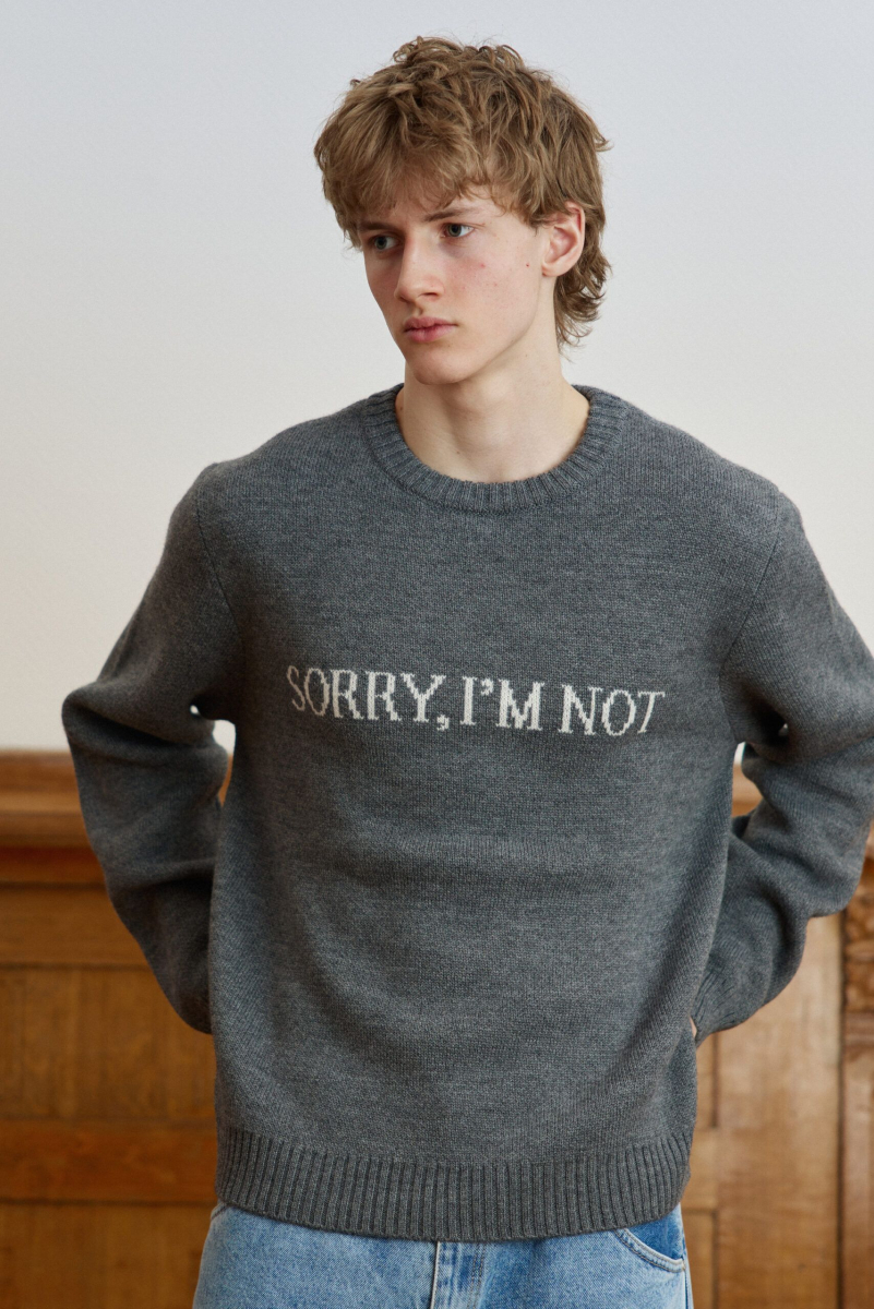 Джемпер MARENGO унисекс SORRY, I’M NOT, цвет: серый, LlrAfH4WgKJdVrtApQUqW2 купить онлайн