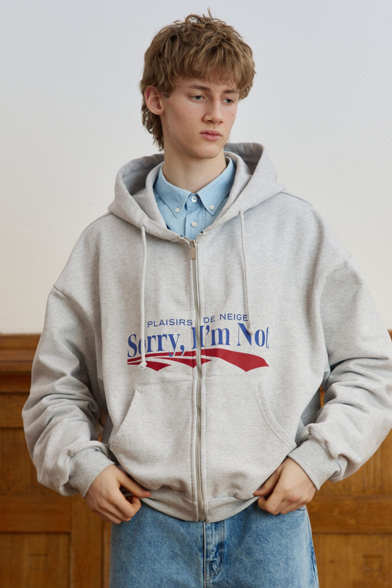 Худи ZIP PLAISIRS DE NEIGE SORRY, I’M NOT, цвет: серый меланж, KrIRIQyaiOtPegNqUpe2k2 купить онлайн