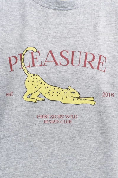 Футболка Pleasure Grey Melange Erist store, цвет: серый, НФ-00002922 купить онлайн