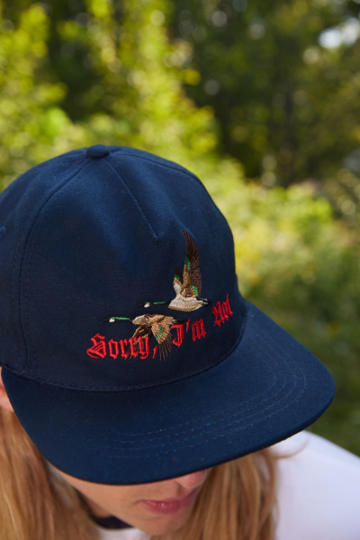 Кепка SNAPBACK WILD DUCKS SORRY, I’M NOT q4LgHP2iigKTVrD0-mnVt2 купить онлайн