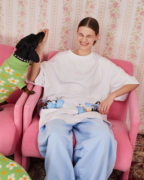 Футболка собаки на голубом диване