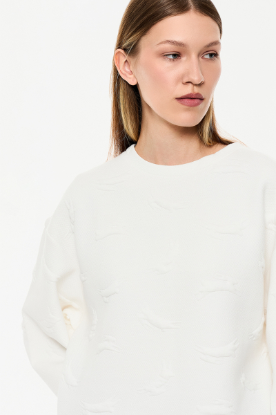 Толстовка DREAMS BY ALENA AKHMADULLINA, цвет: молочный, 225103160404144/713000 купить онлайн