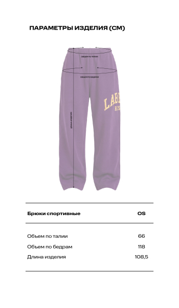 Брюки спортивные Label .B, цвет: фиолетовый, Pt.11.3.4134/2P купить онлайн