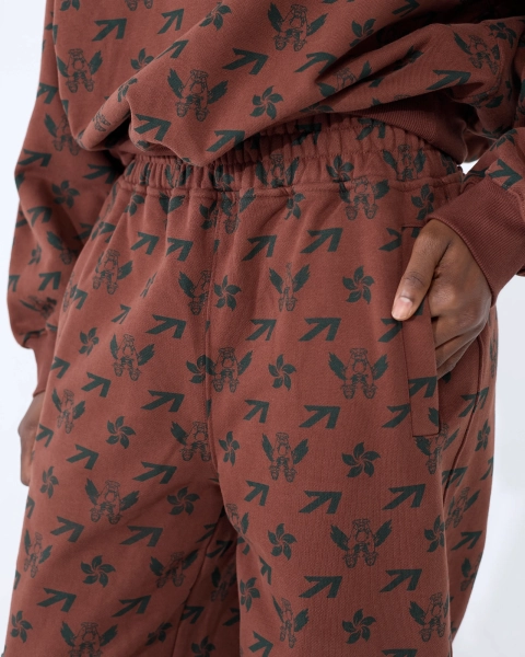 Джоггеры PATTERN FLYING A WOMEN BROWN ASIA ST 71, цвет: коричневый, Ast71.jogg-pattern-A-br-w купить онлайн